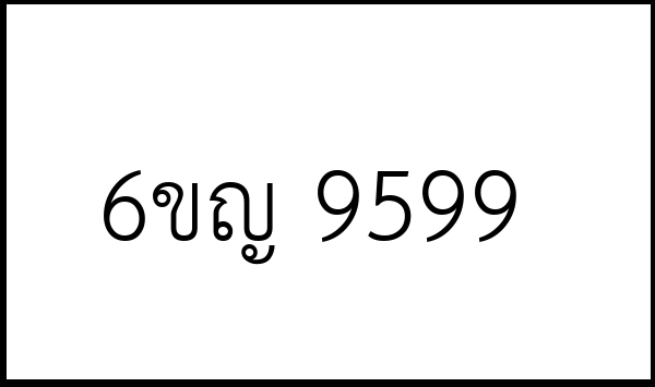 6ขญ 9599